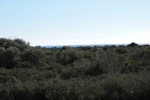 Terreni agricoli vista mare orosei