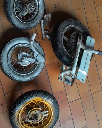 motograziella
