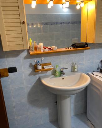 Lavabo con colonna con lo specchio con luci