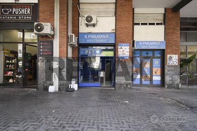 Locale Commerciale - Catania