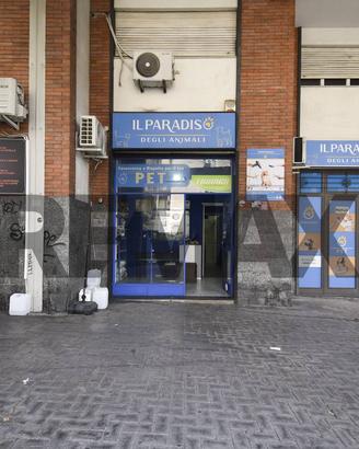 Locale Commerciale - Catania