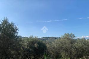 TERRENO A MONTESILVANO