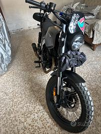 Brixton Felsberg 250