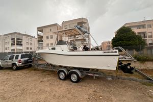 Polaris 22 mercruiser 4.3 MPi