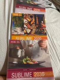 Sublime 2030