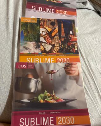 Sublime 2030