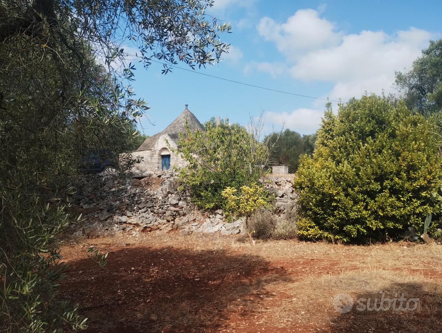 Trullo con terreno - Vista 2