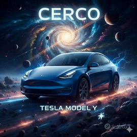 Tesla Model Y 2022-2023 Long Range 