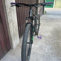 Cube analog 29 mtb