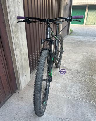 Cube analog 29 mtb