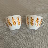 2 tazze Mulino Bianco 2026