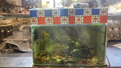 Kit acquario completo