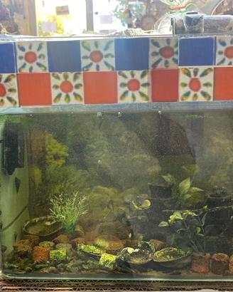Kit acquario completo