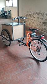 Bicicletta Cargo artigianale