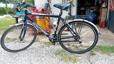 Bici Daytona Uomo