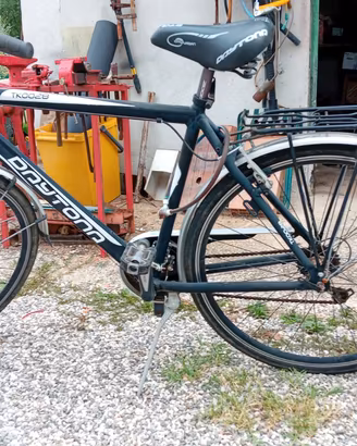 Bici Daytona Uomo