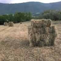 Fieno balle ballette, anche per pacciamatura