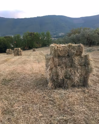 Fieno balle ballette, anche per pacciamatura