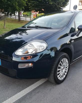 Fiat Punto 1.4 8V 5 porte Natural Power Street "U