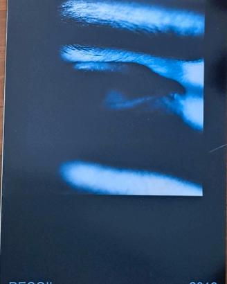 Calendario RECOIL/ALAN WILDER da collezione