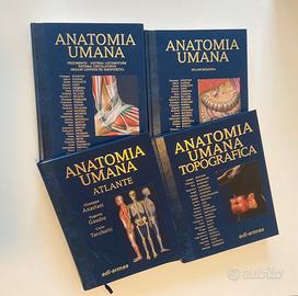Anastasi anatomia umana e appunti di anatomia 1