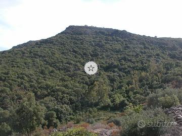 Terreno Fluminimaggiore, Sud Sardegna
