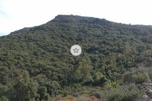 Terreno Fluminimaggiore, Sud Sardegna