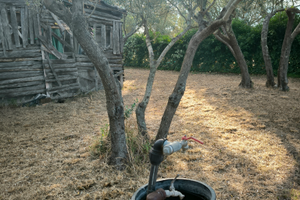 Uliveto con pozzo e recinzione