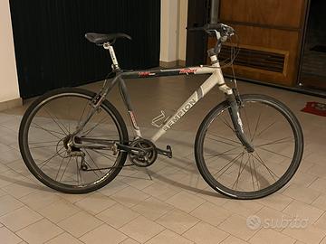 Bici da passeggio