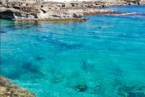 Economica libera tutto giugno luglio salento