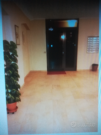 Matrimoniale uso singolo