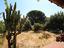 Immagine 14