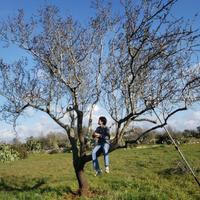 GIARDINIERE su commissione