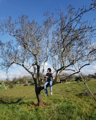 GIARDINIERE su commissione