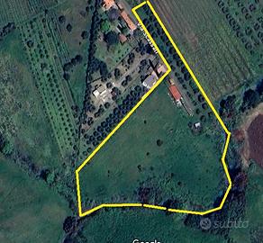 Terreno Lanuvio 15000mq