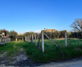 Terreno edificabile a Nettuno