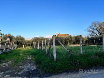 Terreno edificabile a Nettuno