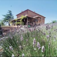 Appartamento soggiorno al mese