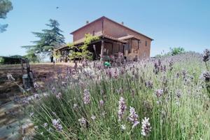 Appartamento soggiorno al mese