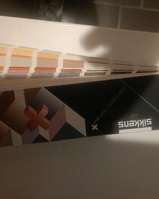 mazzetta colori Sikkens 3031 Plus 