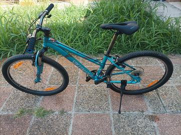 MTB specialized