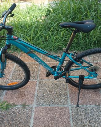 MTB specialized