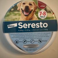 Collare  Cane 🐶 NUOVO SIGILLATO