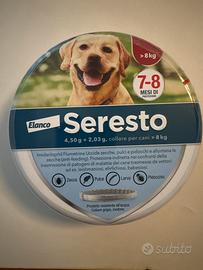 Collare  Cane 🐶 NUOVO SIGILLATO