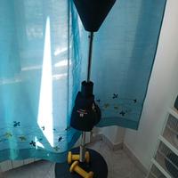 
punching ball con guantoni + pesi