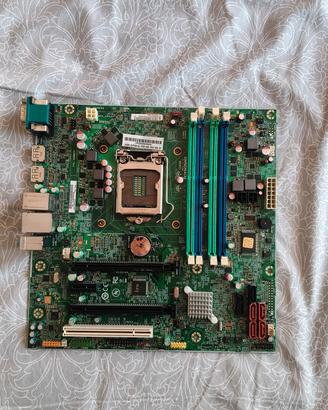 scheda matre LGA 1150
