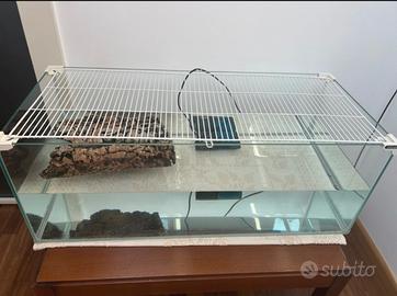 acquario per tartarughe + oggettistica correlata