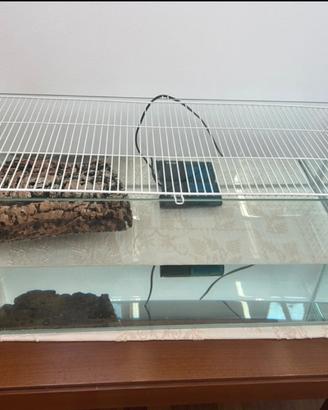 acquario per tartarughe + oggettistica correlata