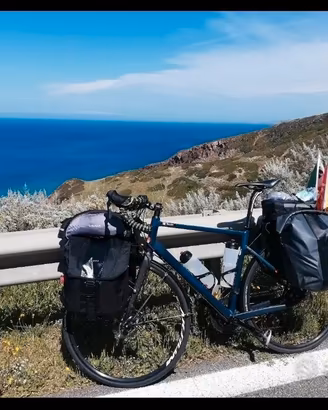 bici triban RC 520 pronta x nuovi viaggi 