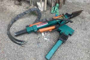 Vanga trivella vangatrice pianta vigne